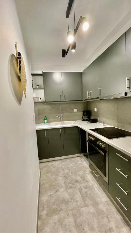 Gorgeous Renovated apt. close to Metro&cultural sites! Atenas Exterior foto